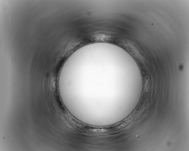 X0000099940363200805231026