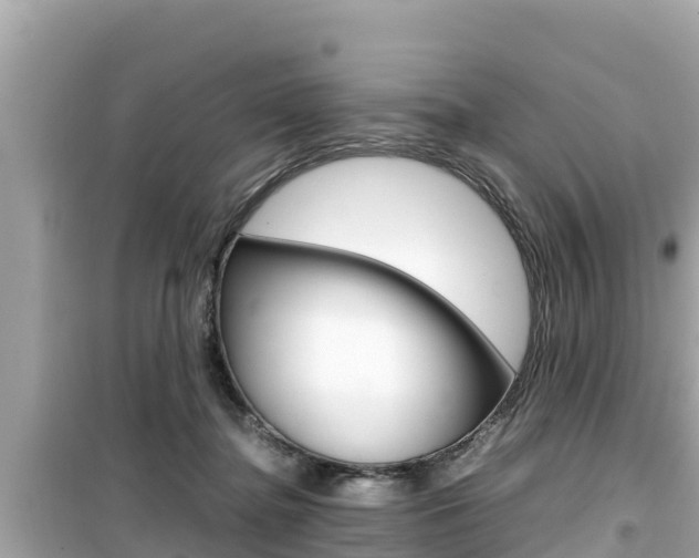 X0000099940364200805231026