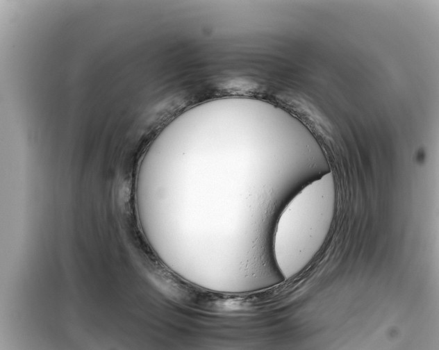 X0000099940365200805231026