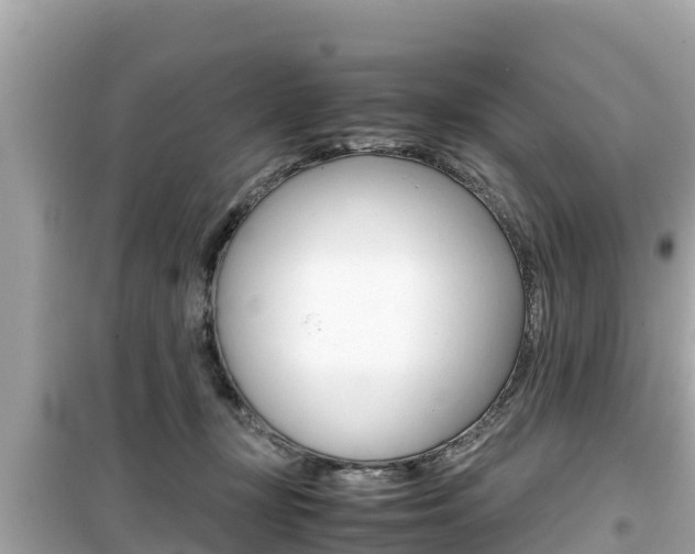 X0000099940367200805231026