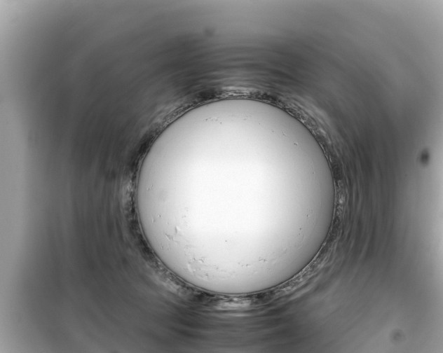 X0000099940369200805231026