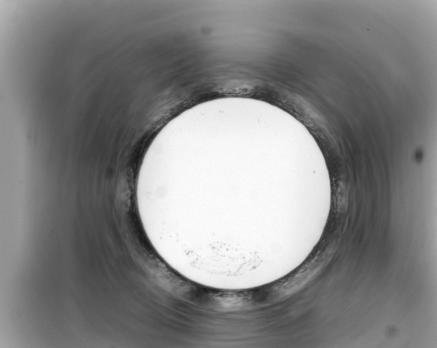 X0000099940370200805231026