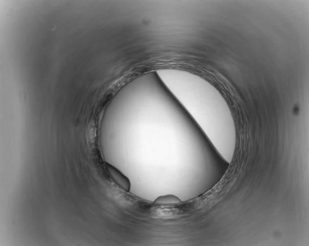 X0000099940372200805231026