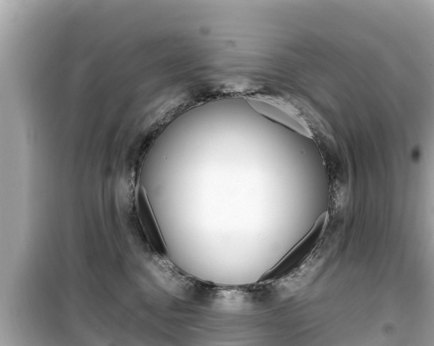X0000099940376200805231026