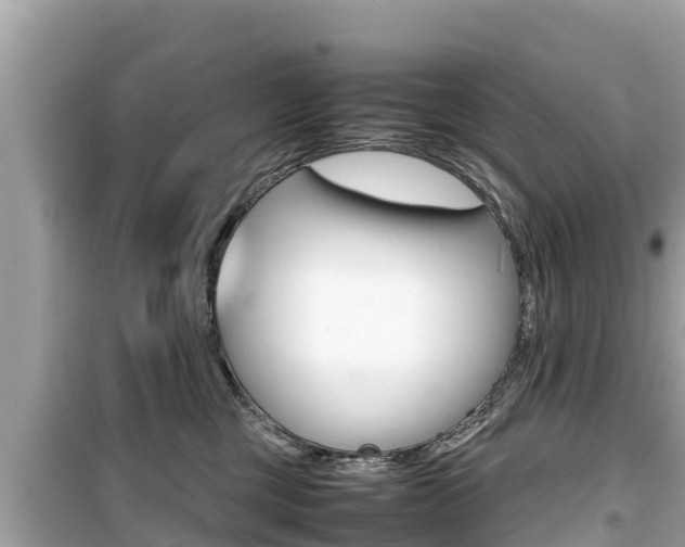 X0000099940377200805231026