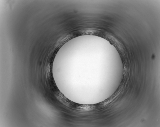 X0000099940381200805231026
