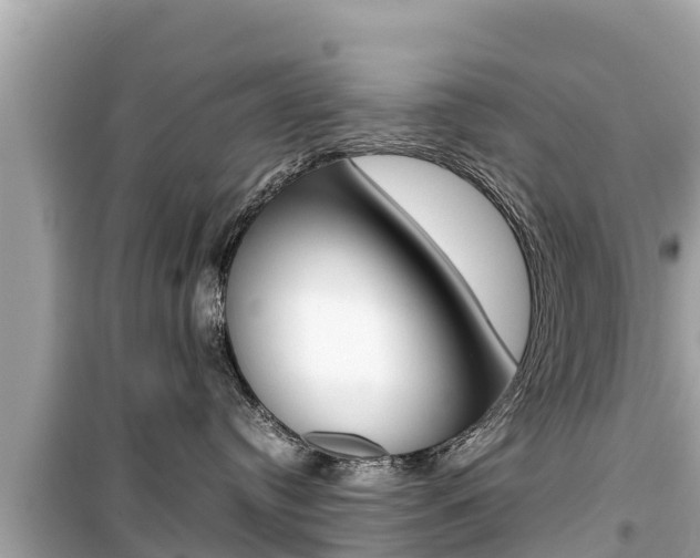 X0000099940384200805231026