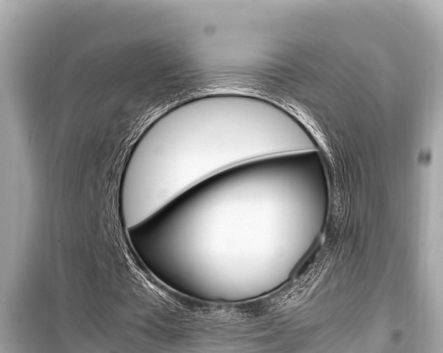 X0000099940385200805231025