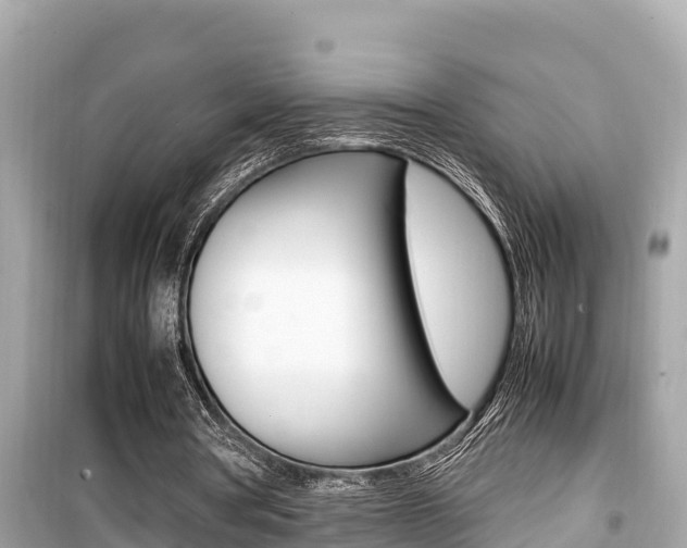 X0000099940386200805231025