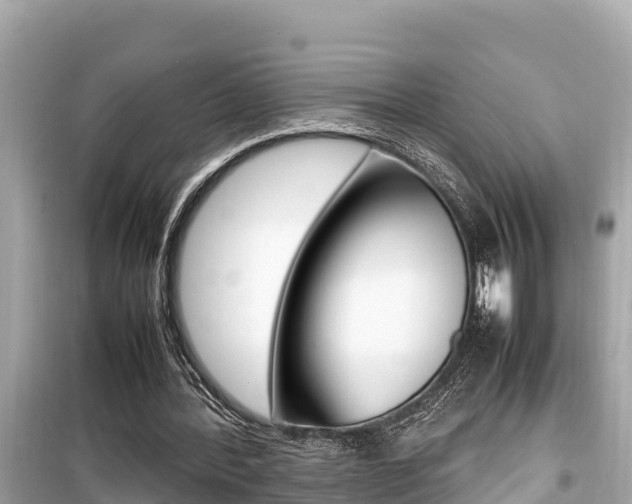 X0000099940388200805231025