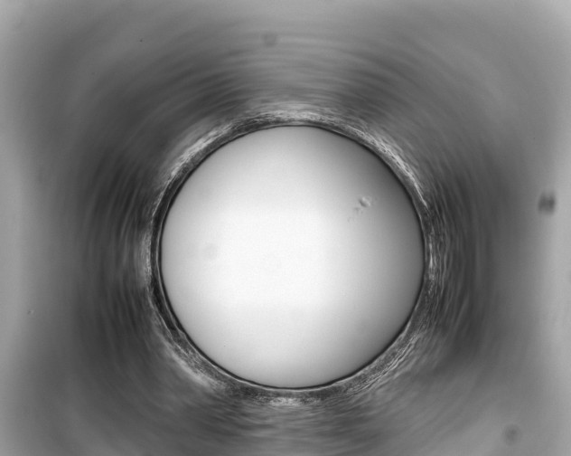 X0000099940390200805231025