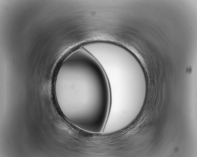 X0000099940391200805231025