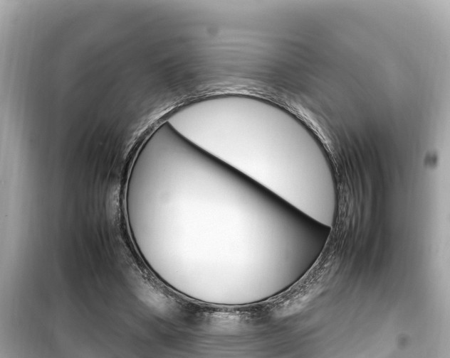 X0000099940394200805231025