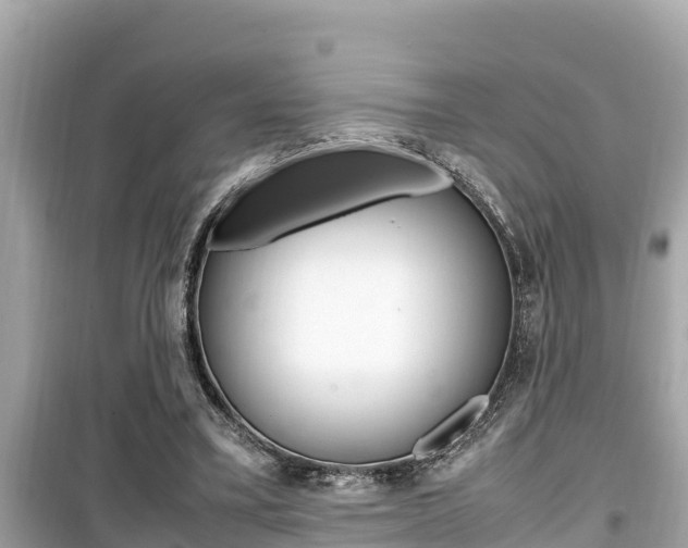 X0000099940395200805231025