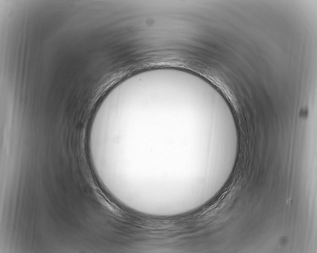 X0000099940397200805231025