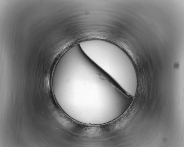 X0000099940398200805231025