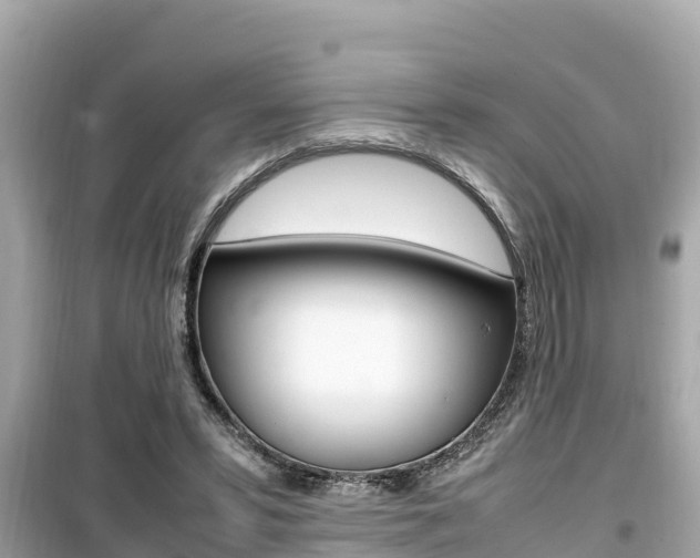 X0000099940399200805231025