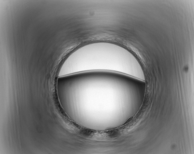 X0000099940403200805231025