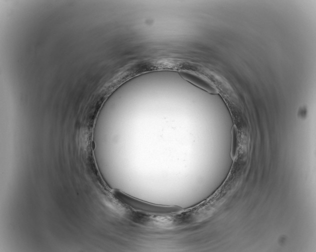 X0000099940409200805231025