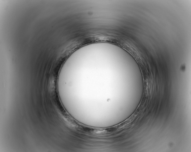 X0000099940410200805231025