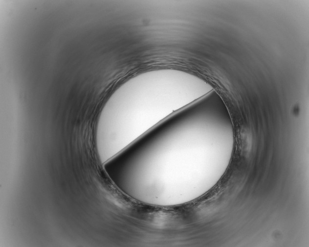 X0000099940412200805231025