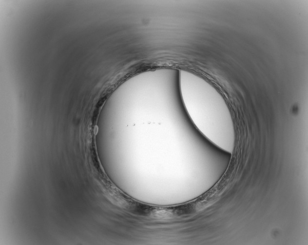 X0000099940413200805231025