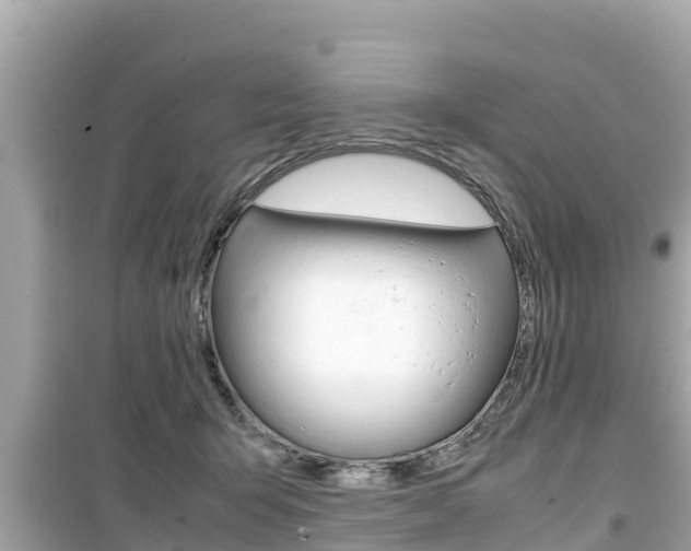 X0000099940415200805231025