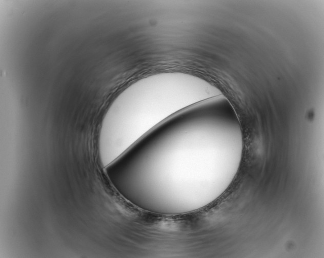 X0000099940416200805231025