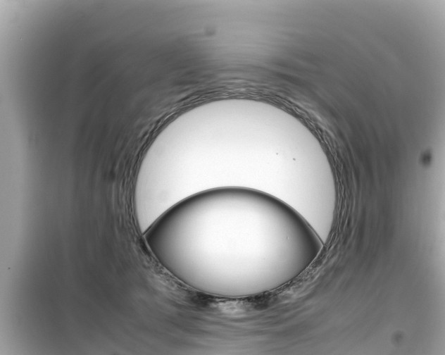 X0000099940417200805231025