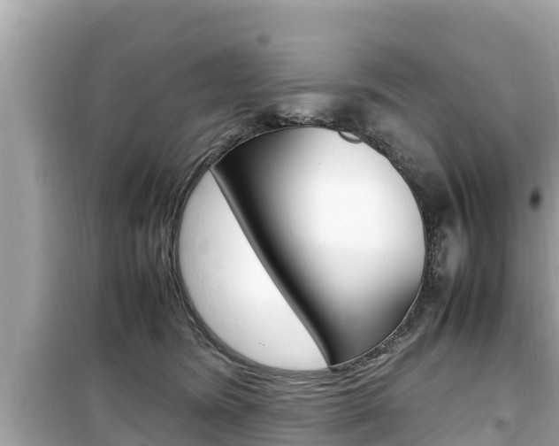 X0000099940420200805231025