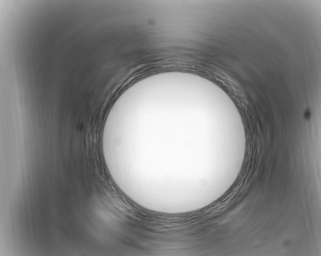 X0000099940421200805231025