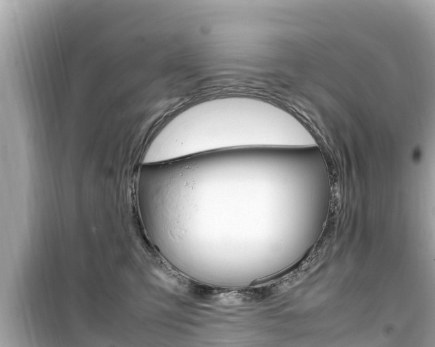 X0000099940423200805231025
