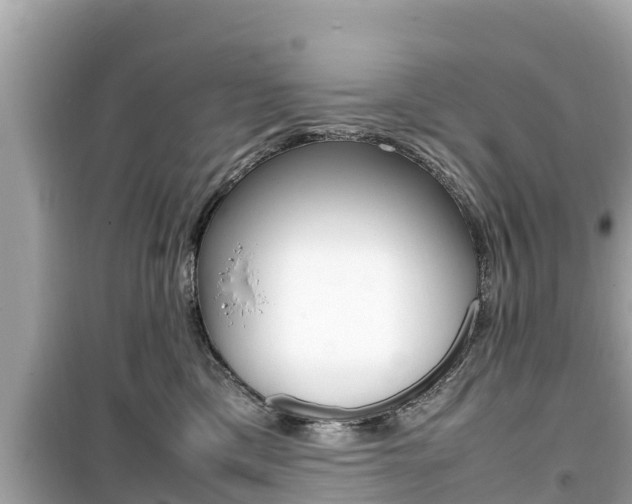 X0000099940425200805231025