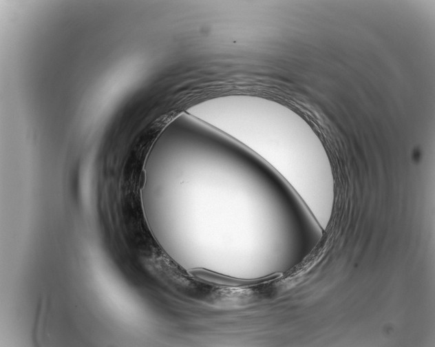 X0000099940429200805231025