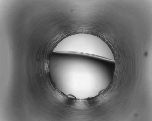 X0000099940432200805231025