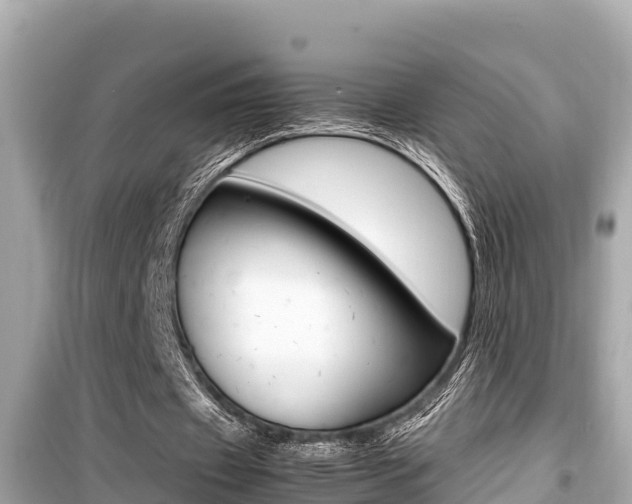 X0000099940433200805231024