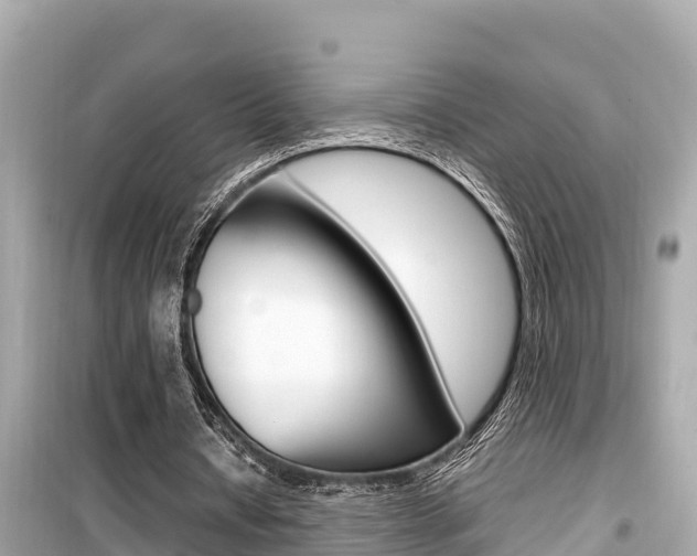 X0000099940434200805231024