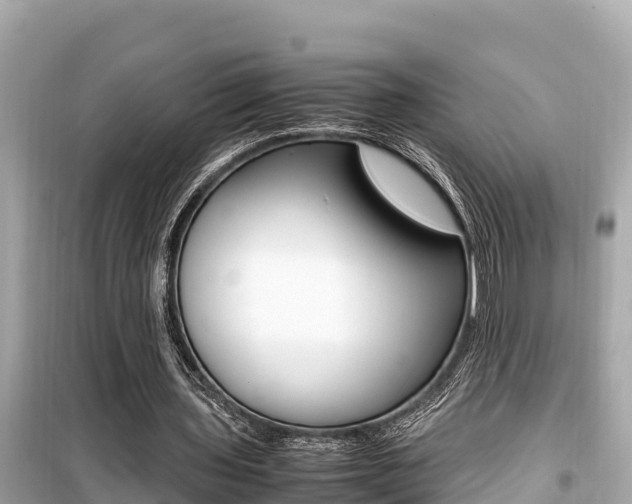 X0000099940435200805231024
