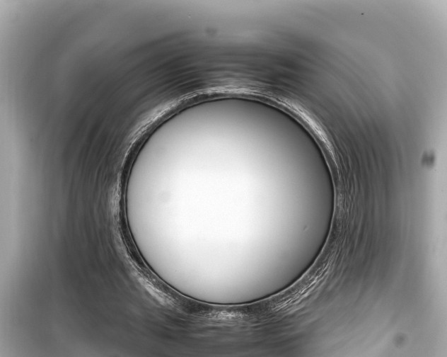 X0000099940437200805231024