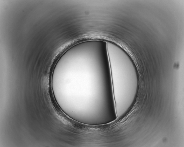 X0000099940438200805231024