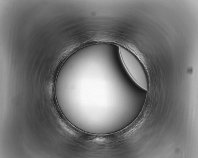 X0000099940441200805231024