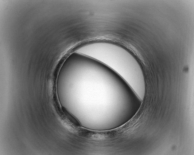 X0000099940444200805231024