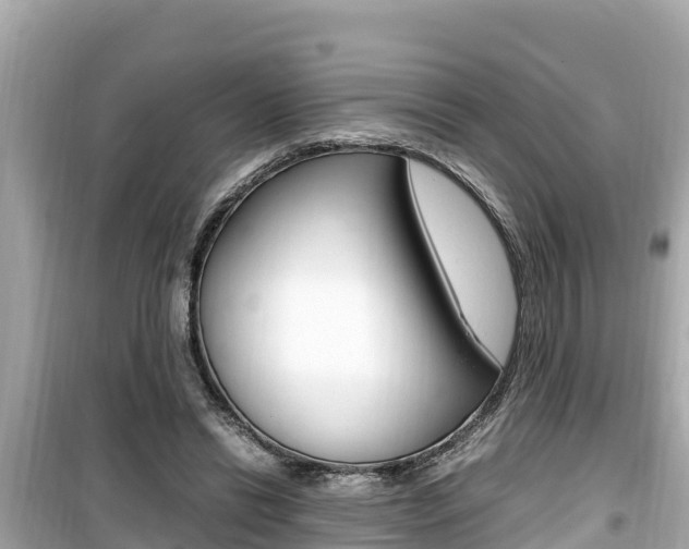 X0000099940446200805231024