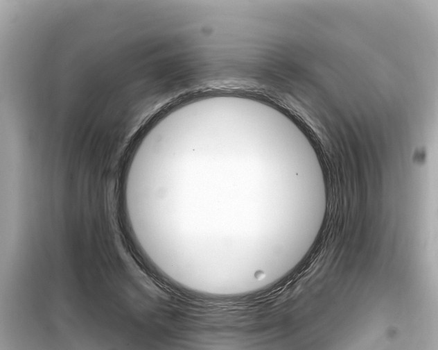 X0000099940448200805231024