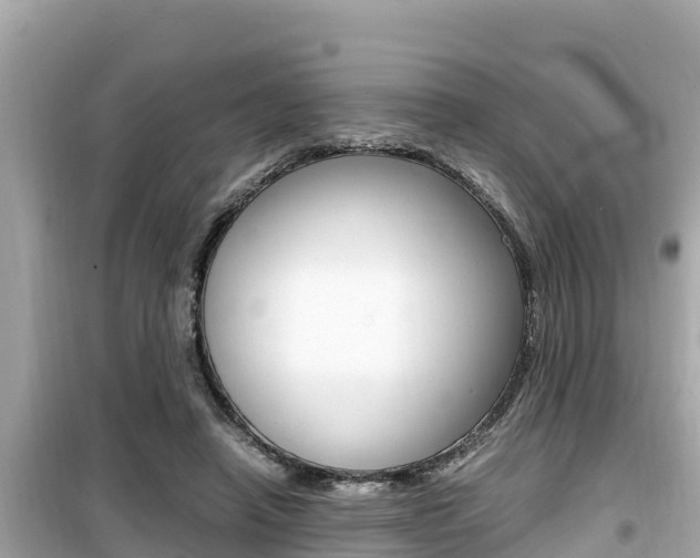 X0000099940450200805231024