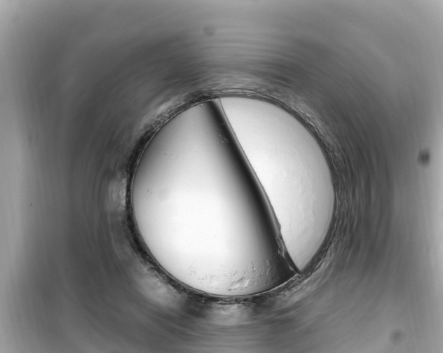 X0000099940454200805231024