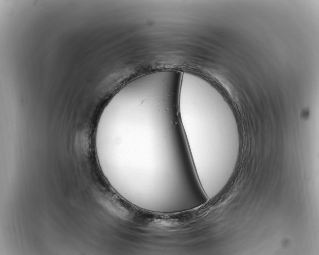 X0000099940455200805231024