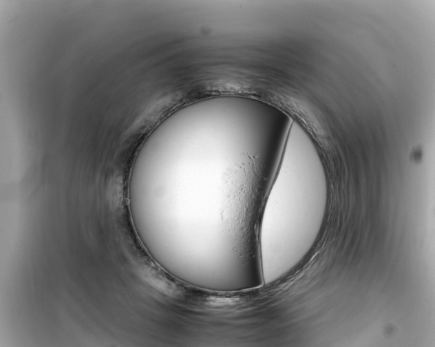 X0000099940457200805231024