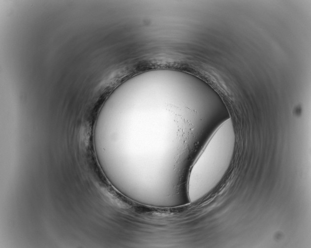 X0000099940458200805231024