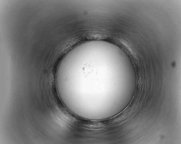 X0000099940459200805231024